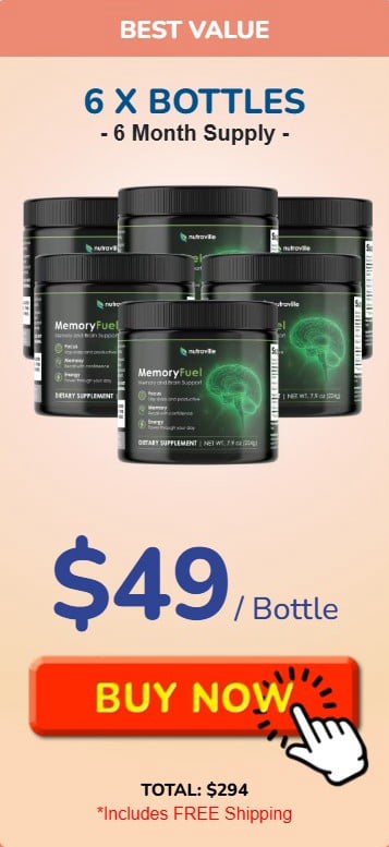 MemoryFuel-4 bottle-price