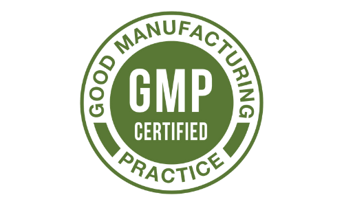 MemoryFuel gmp